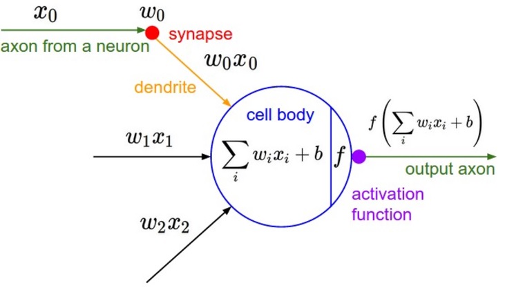 Simple neuron